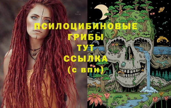 spice Богородицк