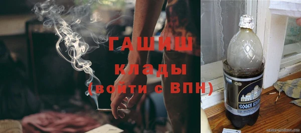 spice Богородицк
