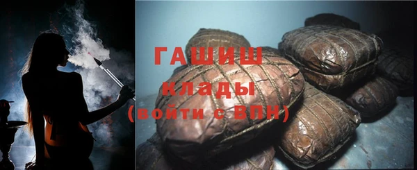 spice Богородицк