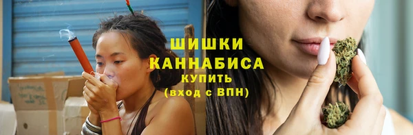 spice Богородицк