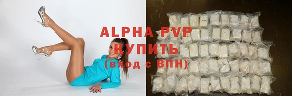 spice Богородицк
