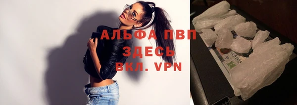 дурь Богданович