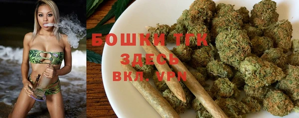 дурь Богданович