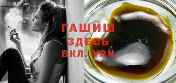 spice Богородицк