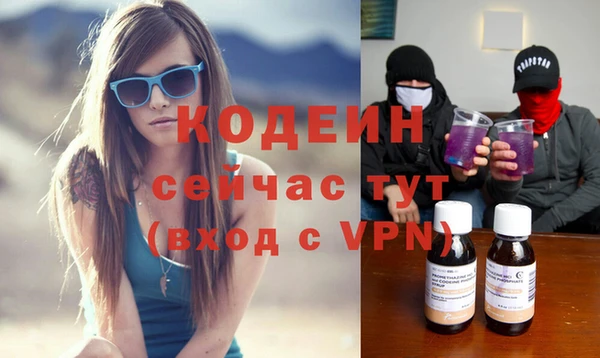 spice Богородицк