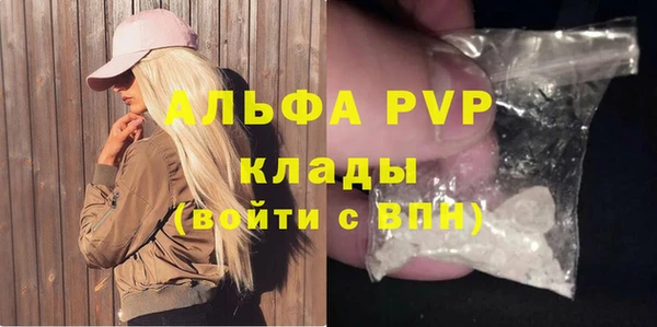 spice Богородицк